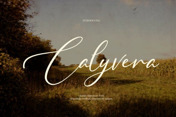 Calyvera
