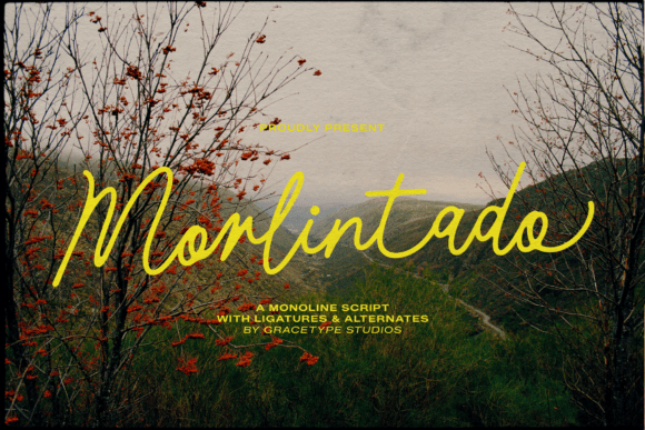 Discover Morlintado: The Script Font That Elevates Your Digital Brand