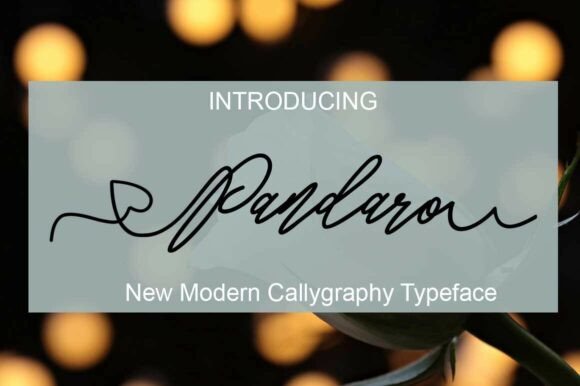 Pandaro: A Font That Elevates Branding with Style and Substance